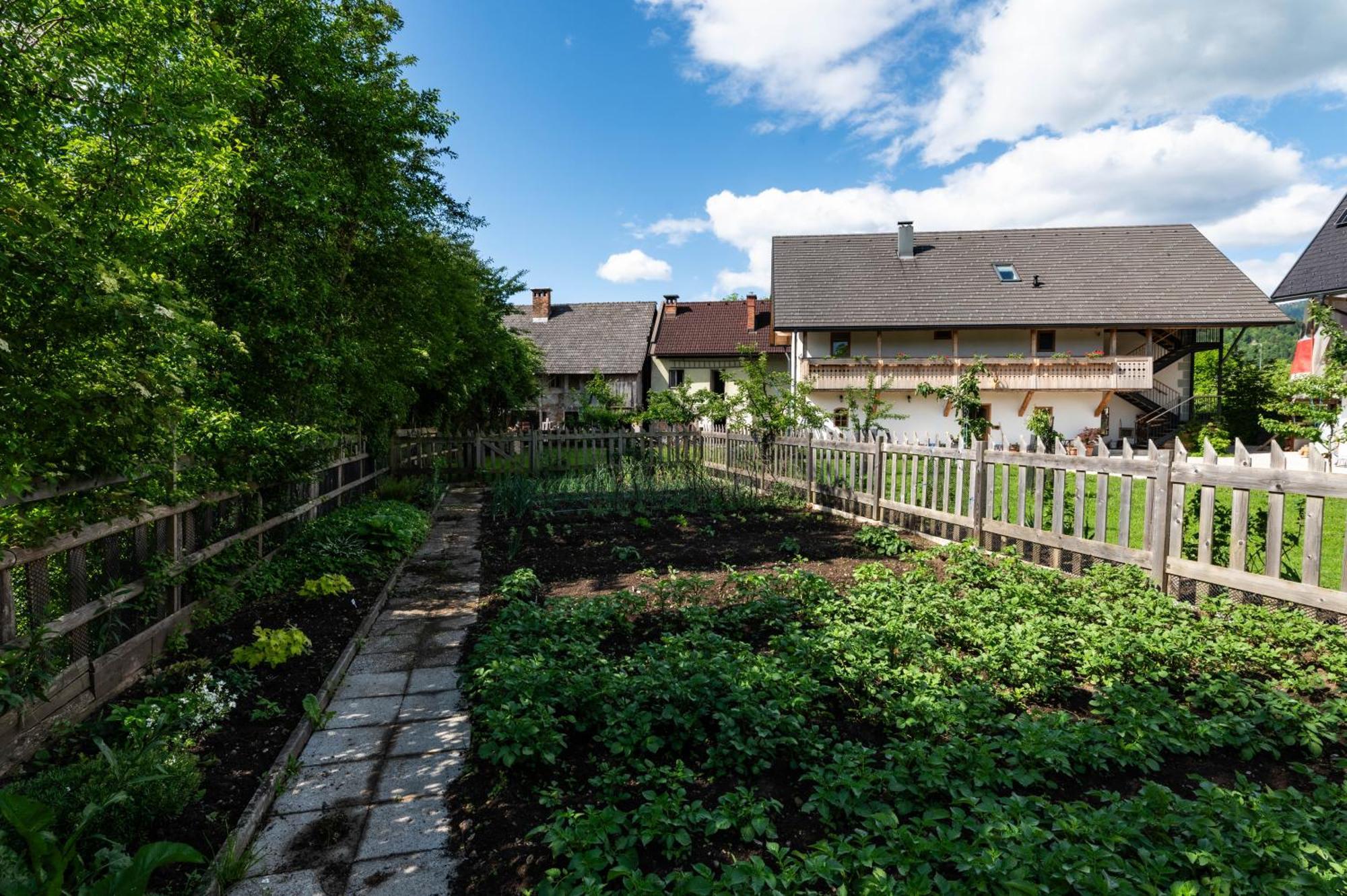 Turisticna Kmetija Grabnar Bled Exterior foto